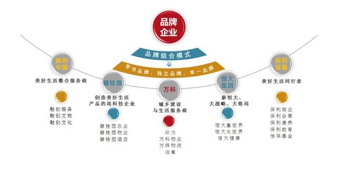 2019中國房地產品牌價值研究報告 軟件開發在房地產數字化轉型中的作用